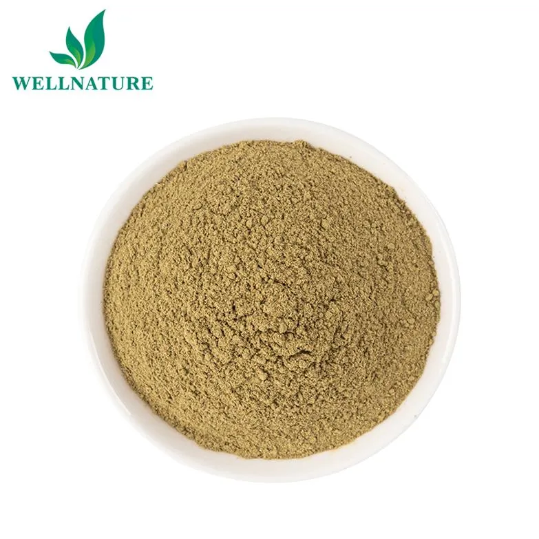 Factory Bulk Dried Oregano Leaf Leaves Powder Oregano Extract Powder