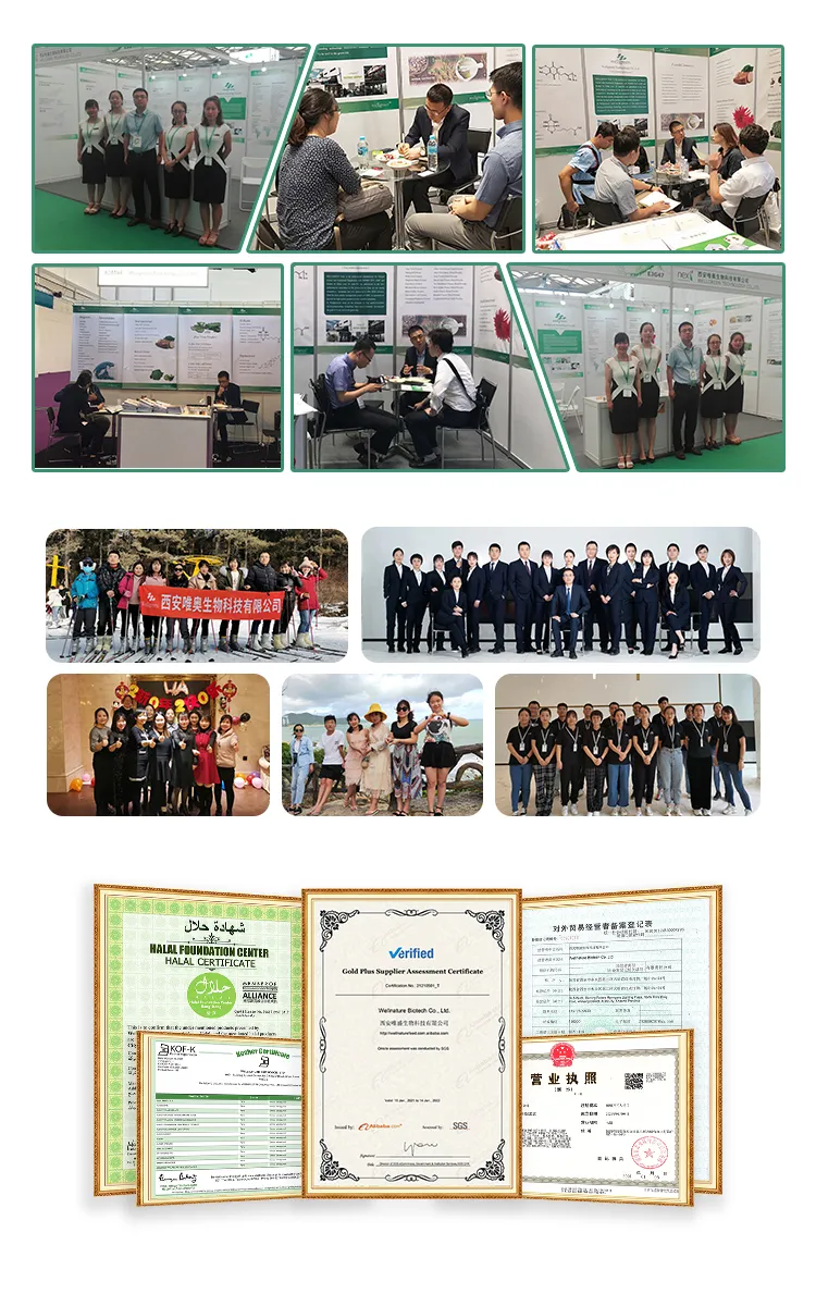 Factory Bulk Dried Oregano Leaf Leaves Powder Oregano Extract Powder