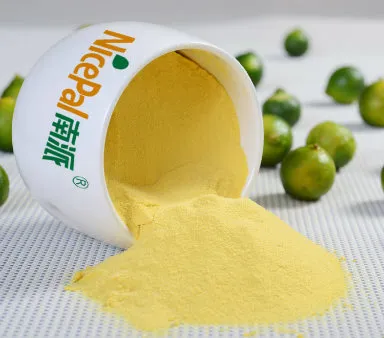 Natural Spray Dried Lime Fruit Powder / Lime Juice Powder / Lime Drink Powder