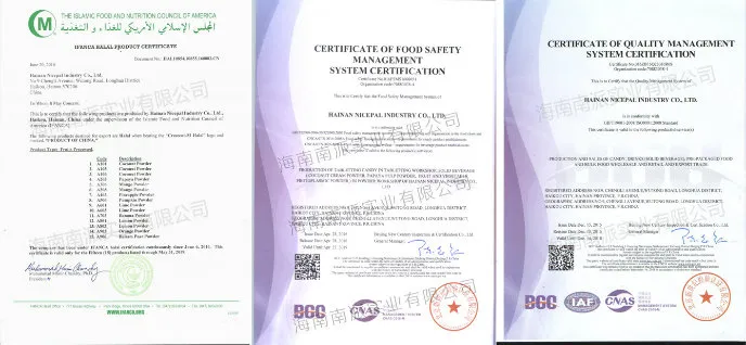 Natural Spray Dried Lime Fruit Powder / Lime Juice Powder / Lime Drink Powder