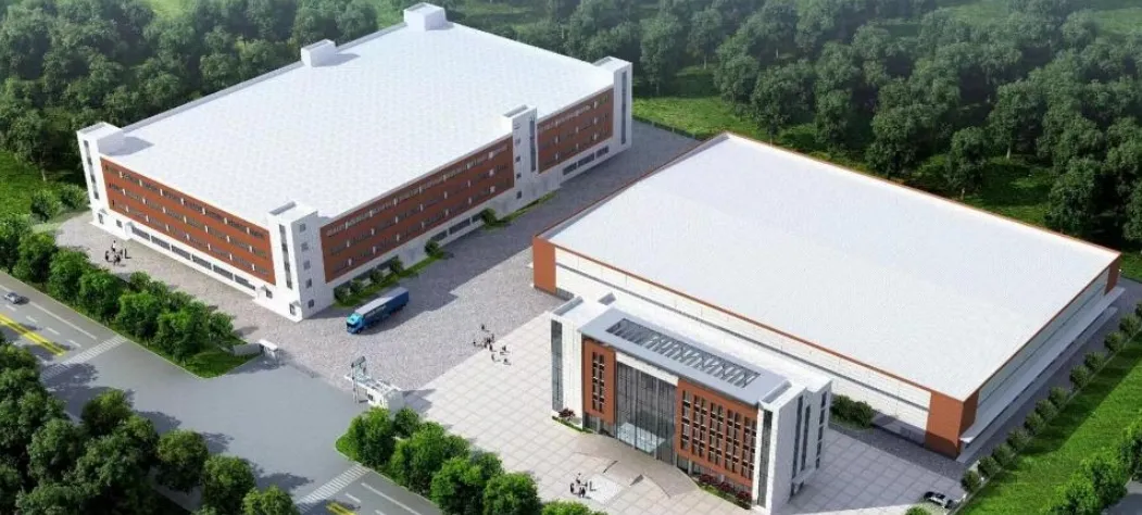 Mixed Fruit Pack: Mango & Pineapple Freeze-Dried Healthy Office Snack