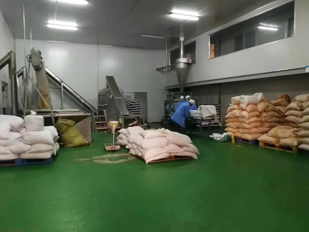 Top Grade Herbal Plant Shiitake Dried Shiitake Mushroom Powder