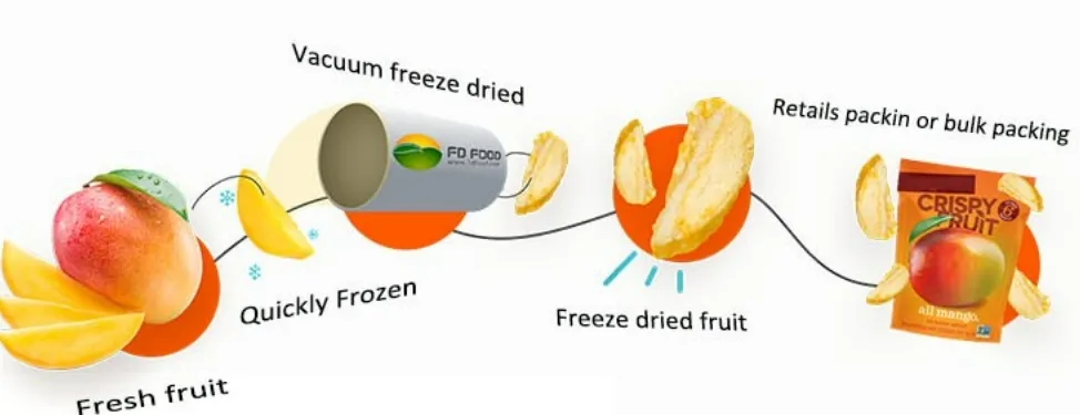 Whole Freeze-Dried Strawberry with Natural Vitamin C Source and Bulk Packaging