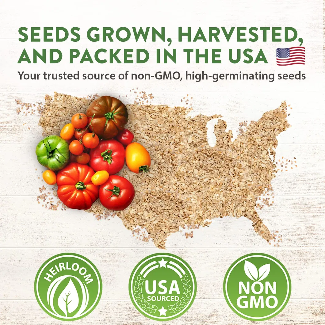Home Grown Heirloom Non-GMO Tomato Seeds for Planting