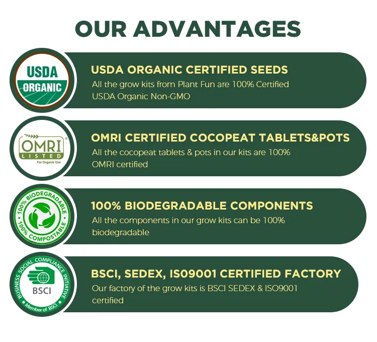 Home Grown Heirloom Non-GMO Tomato Seeds for Planting