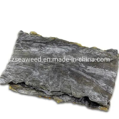 Factory Export Delicious Natural Dried Kombu Seaweed Sea Kelp