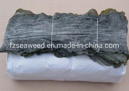 Factory Export Delicious Natural Dried Kombu Seaweed Sea Kelp