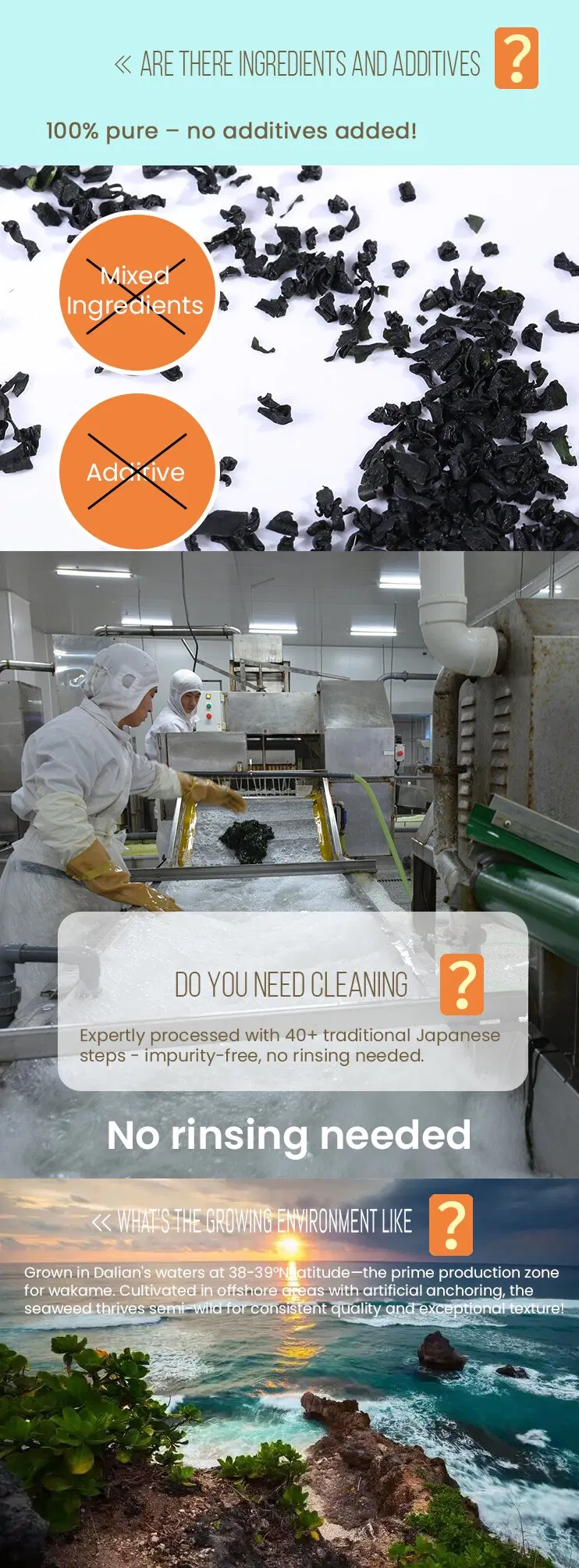 Hot Selling Meal Replacement Porridge Edible Seaweed Dried Wakame Leaves Cut