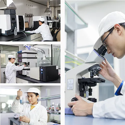 Xylooligosaccharides Is a High Quality Prebiotic for Proliferation of Beneficial Bacteria