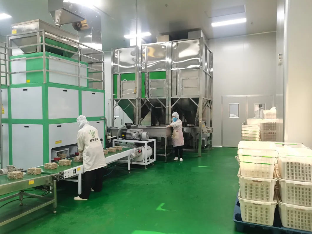 Yunnan 103 and Dapao Thin Shell Extra Light Walnut Kernel for Bakery