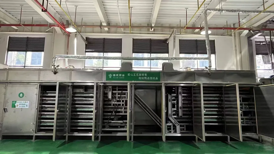 Yunnan 103 and Dapao Thin Shell Extra Light Walnut Kernel for Bakery