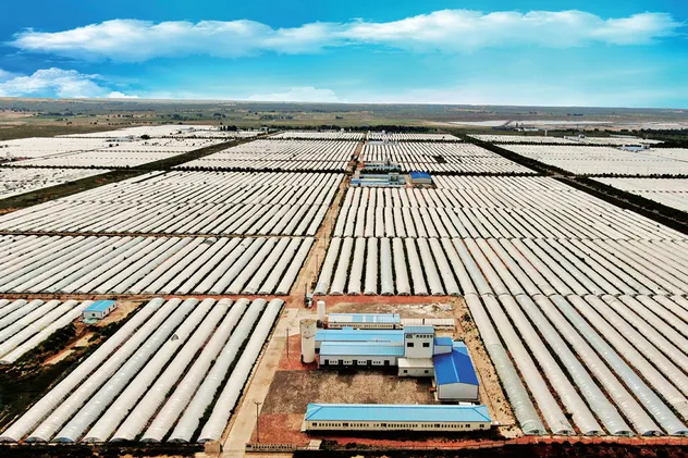 Omega 3 Ethyl Ester Fish Oil Eap 18 DHA 12 Foods Grade