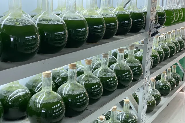 Omega 3 Ethyl Ester Fish Oil Eap 18 DHA 12 Foods Grade