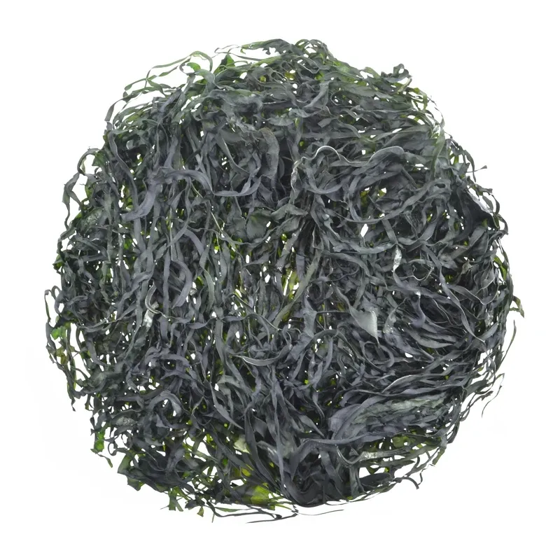 Brown Algae Machine Dried Cut Laminaria Shredded Seaweed Sliced Sea Kelp