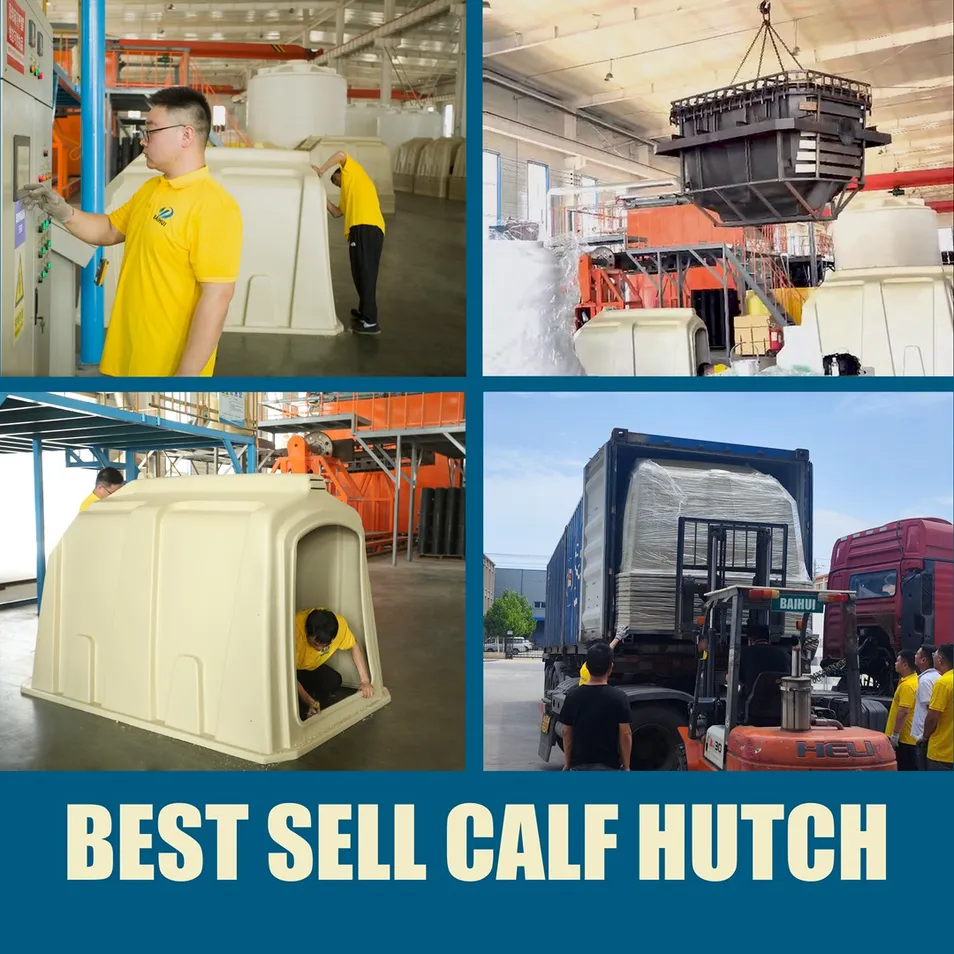 Boost Survival Rates by 90% Disease Proof Solutions Calf Hutch for Australia