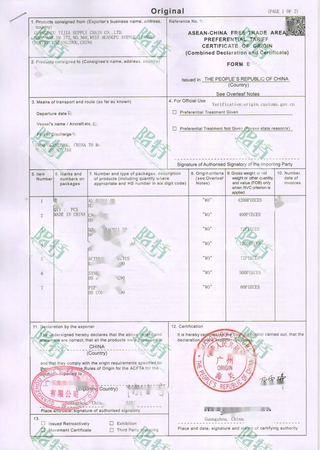 Bonsai Finished Mature Plant From Tissue Culture Tray Seedling