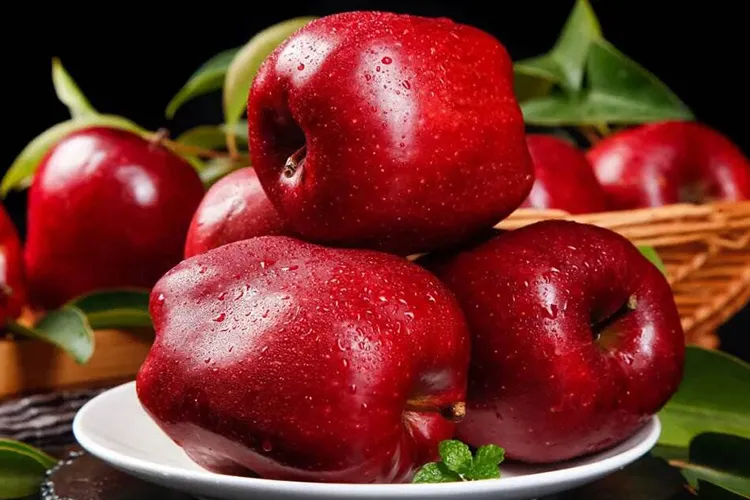 Fresh Apples Green Qinguan Royal Gala Australian Golden Direct Manufacturer From China