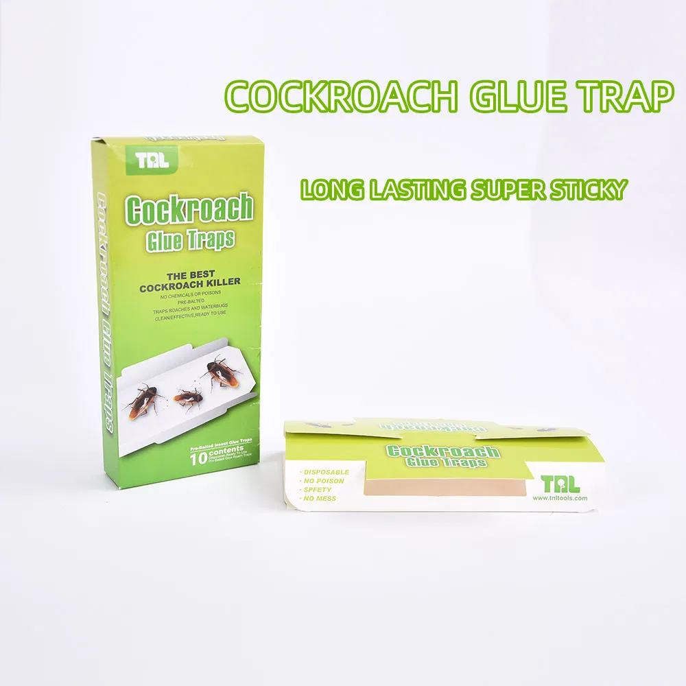 Disposable Non-Pollution Killing Cockroach Trap Glue Box Attractant Bait