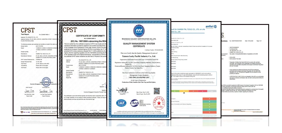 Disposable Non-Pollution Killing Cockroach Trap Glue Box Attractant Bait