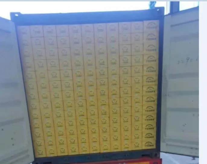 Alcohol Drink 500ml Can 3.1% Malt Drink Chinese Light Beer Distributors