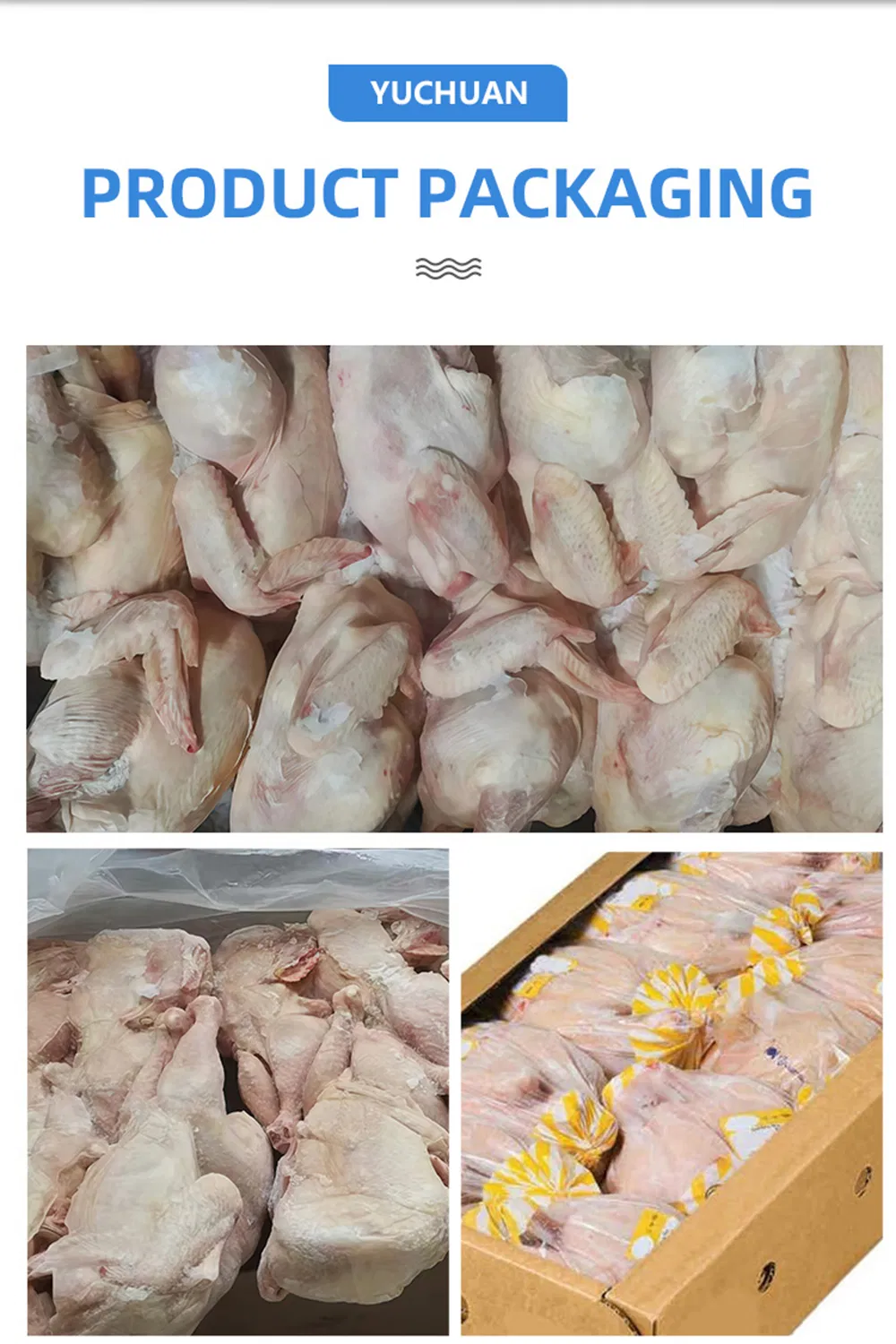 Premium Whole Frozen Chicken for Global Export Opportunities
