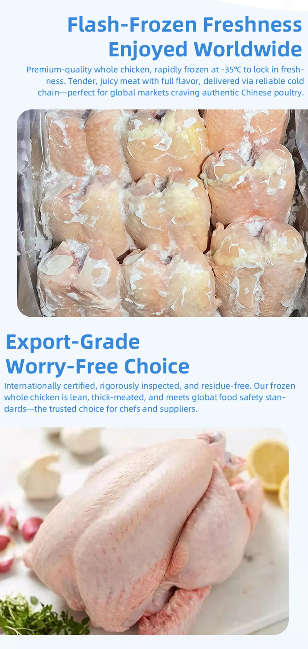 Premium Whole Frozen Chicken for Global Export Opportunities