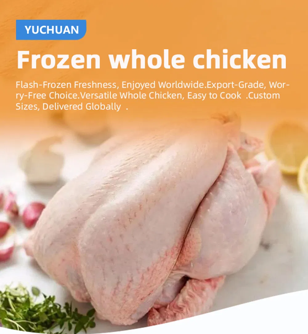 Premium Whole Frozen Chicken for Global Export Opportunities