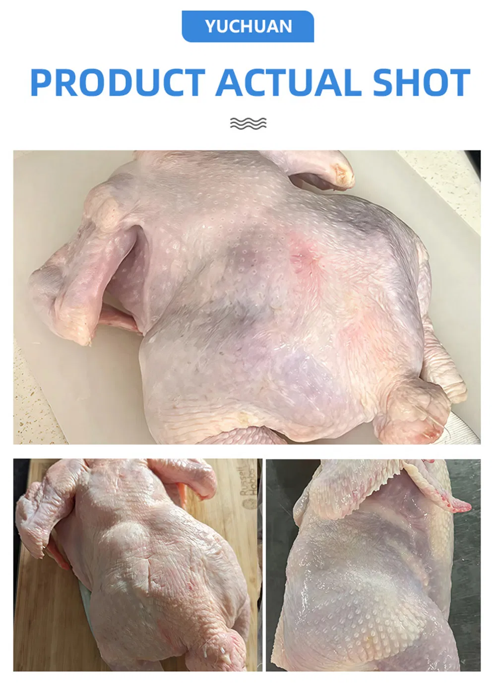 Premium Whole Frozen Chicken for Global Export Opportunities