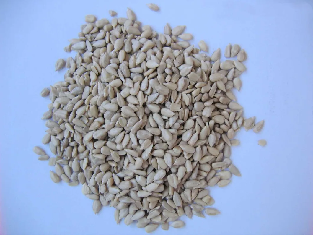 Wholesale Halal Certified Sunflower Seed Kernels