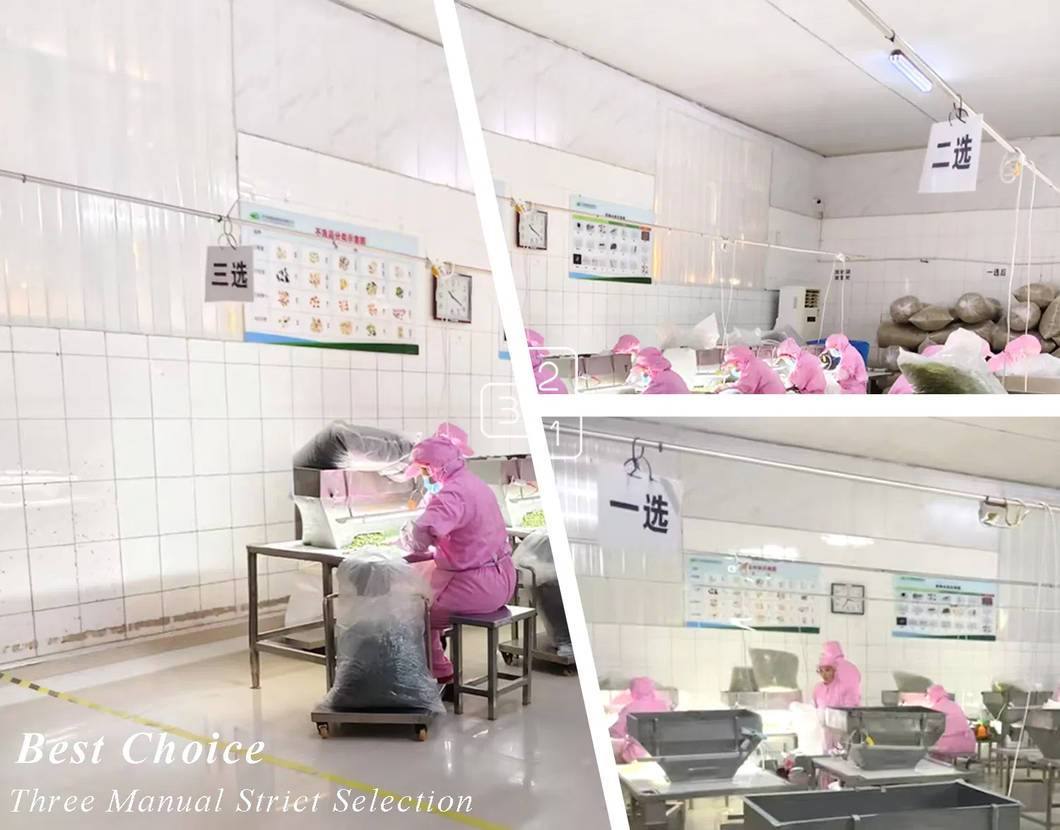 Premium Onion Powder with Guaranteed Quality Assurance