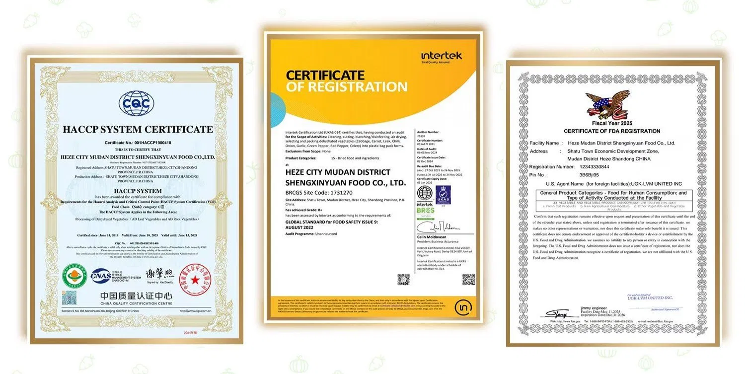 Premium Onion Powder with Guaranteed Quality Assurance