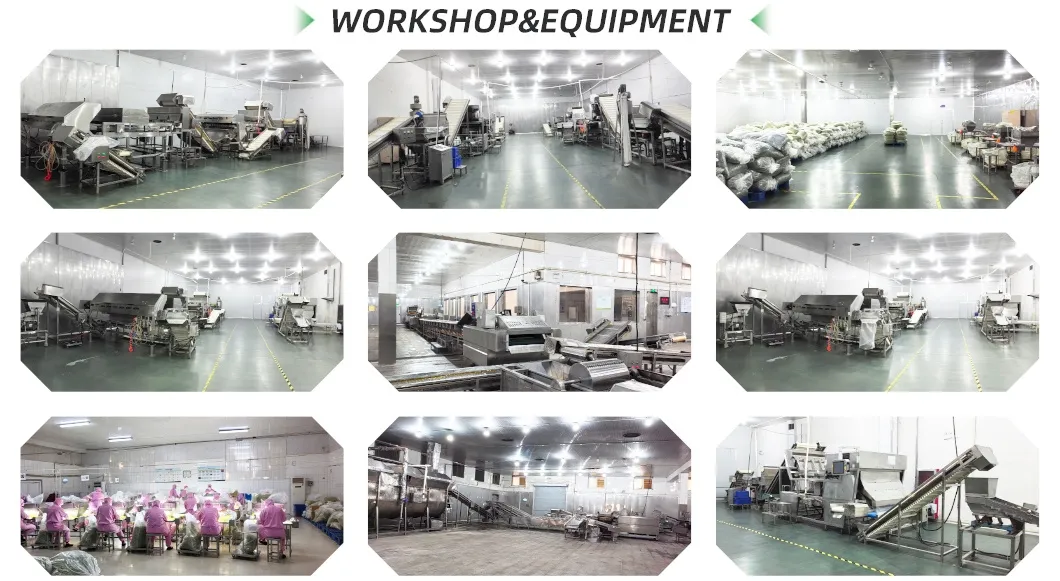 Premium Onion Powder with Guaranteed Quality Assurance