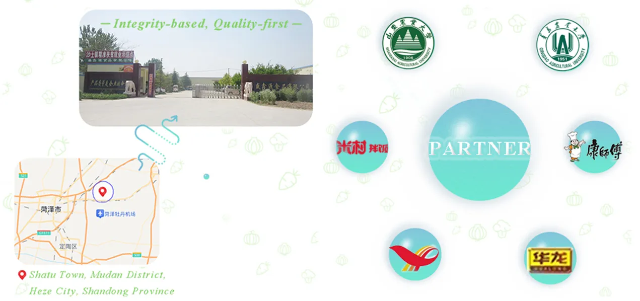 Premium Onion Powder with Guaranteed Quality Assurance