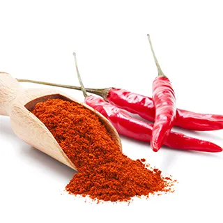 Premium Onion Powder with Guaranteed Quality Assurance