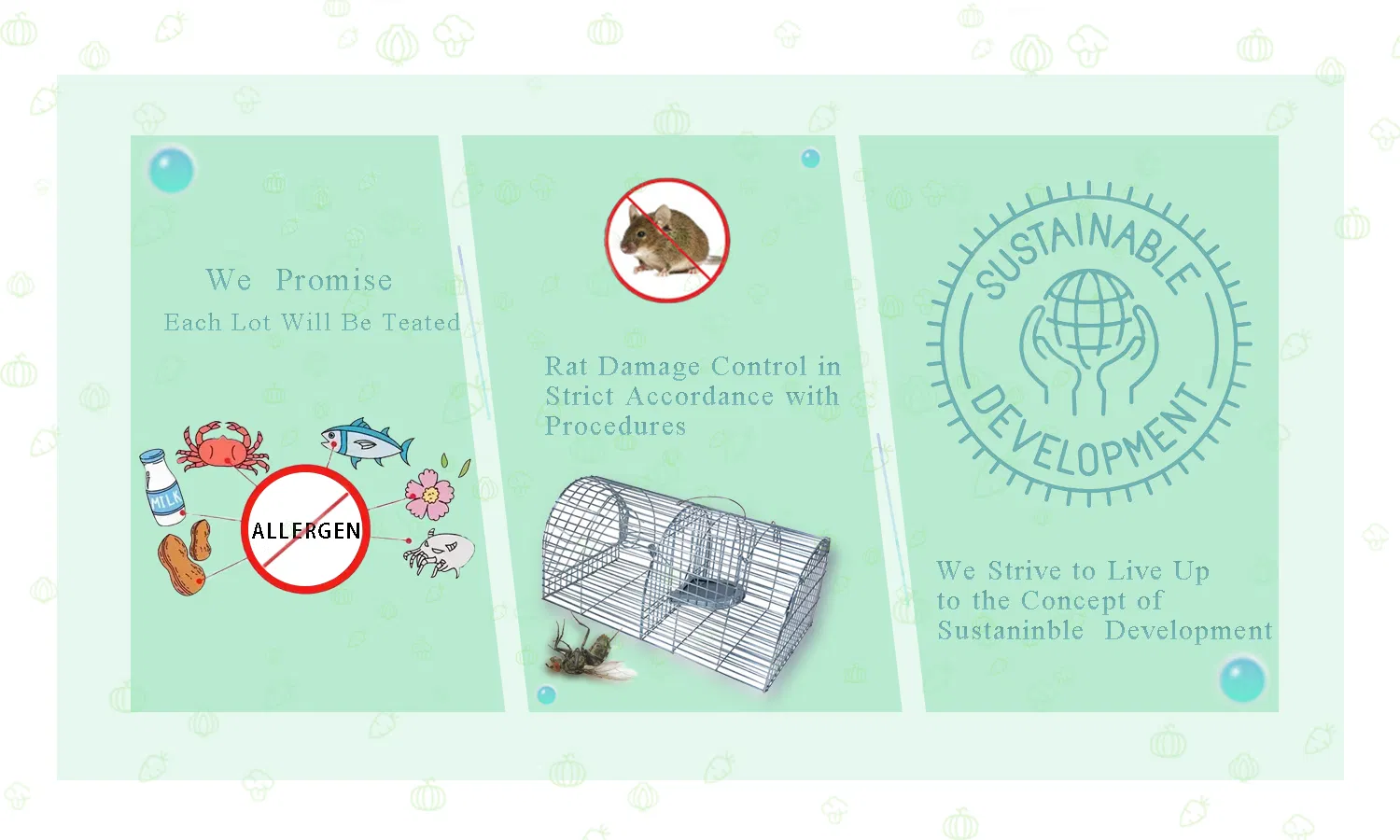 Premium Onion Powder with Guaranteed Quality Assurance