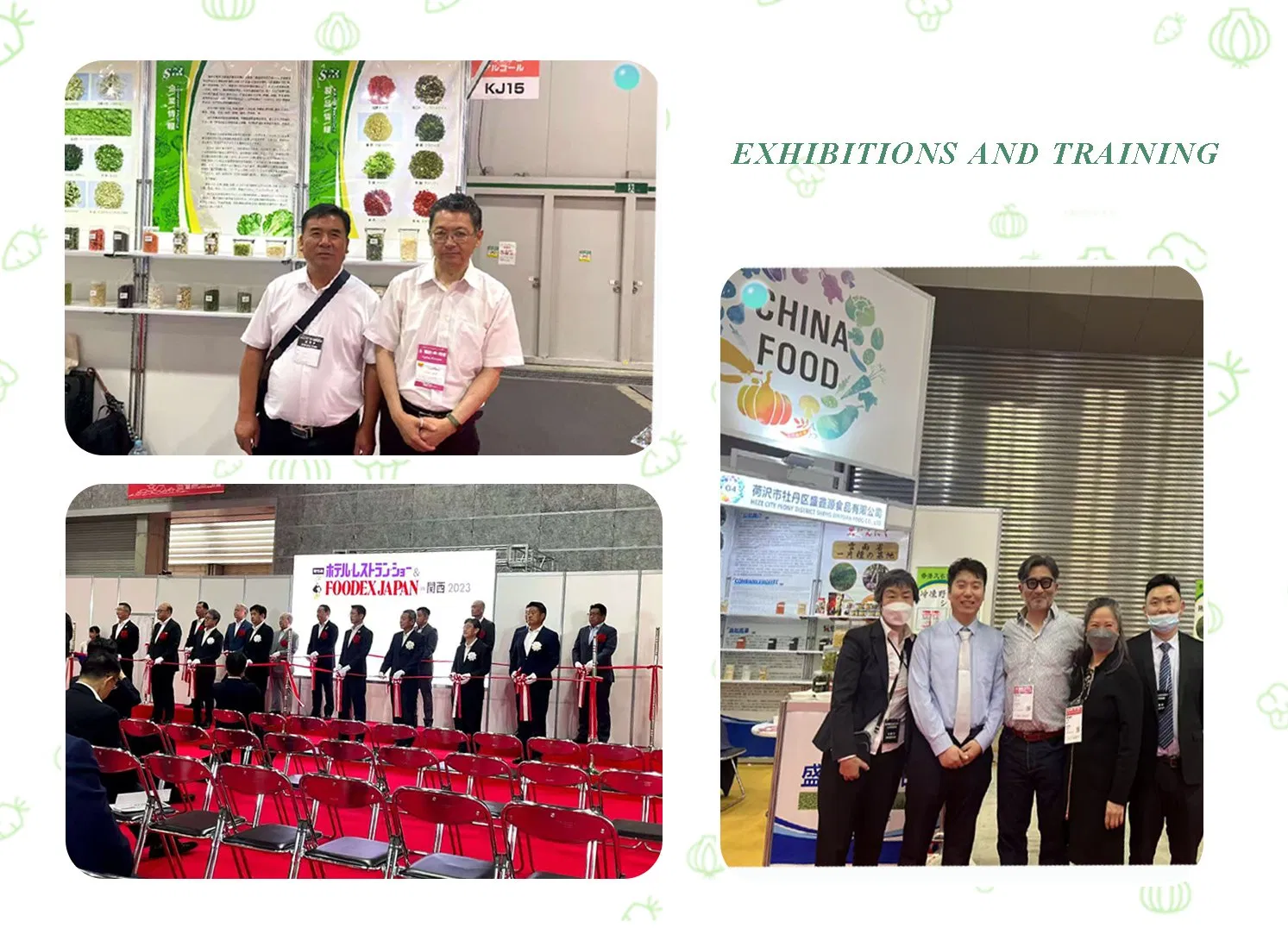 Premium Onion Powder with Guaranteed Quality Assurance