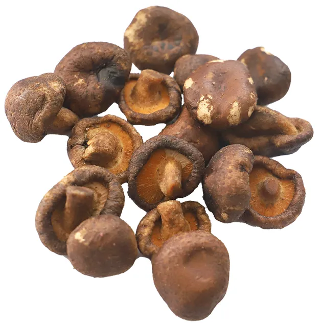 Premium Onion Powder with Guaranteed Quality Assurance