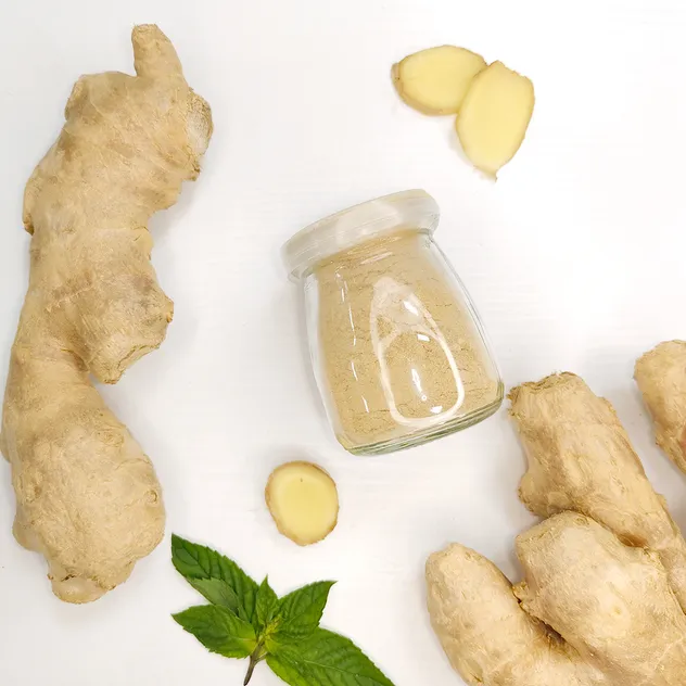 Premium Onion Powder with Guaranteed Quality Assurance