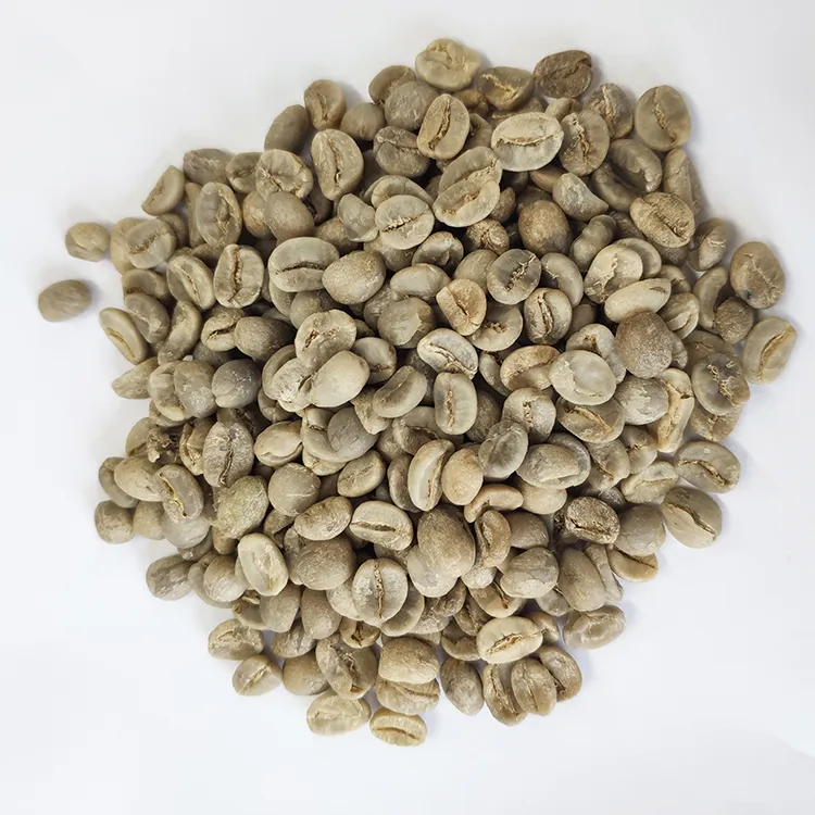 Cheap New Crop Wholesale Green Coffee Beans Arabica Coffee Beans