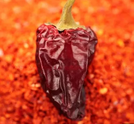 Paprika Powder Asta 40 to Asta 220