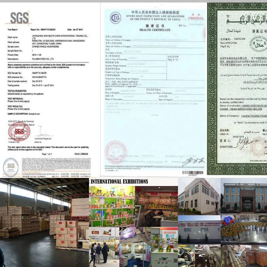 Canned Golden Abalone Mushroom in Brine