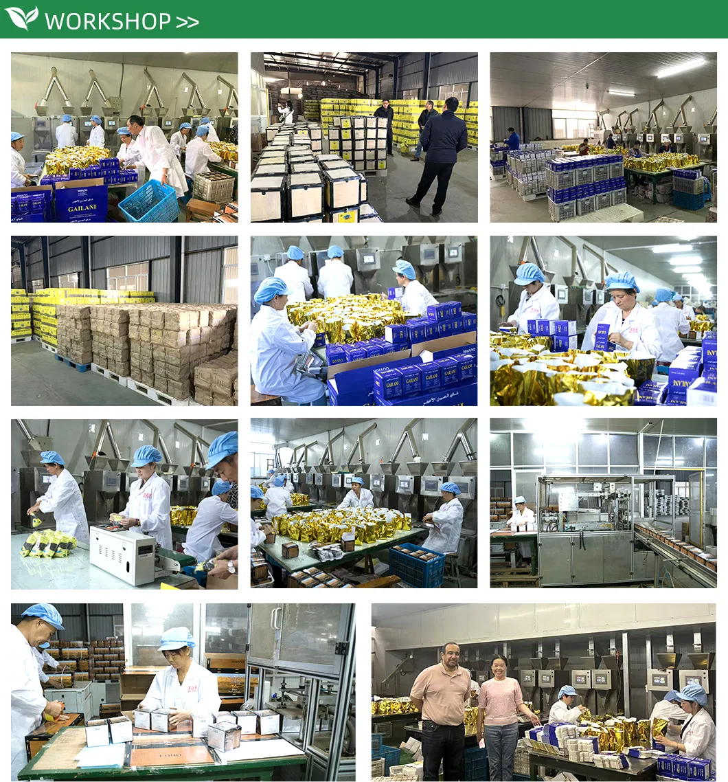 Chinese Factory EL Berrad Chunmee - Fast Delivry 100% Pure Green Tea