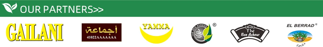 Chinese Factory EL Berrad Chunmee - Fast Delivry 100% Pure Green Tea