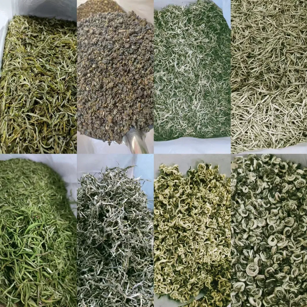 Bulk Loose #3 Health Piao Xue Twisted Jasmine Scented Green Tea