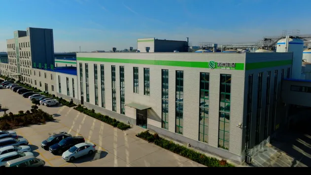 Top Quality Hot Selling Wholesale Chinese Traditional Beer Oasis Red Gift Box Packaged Craft Beer 1L * 4