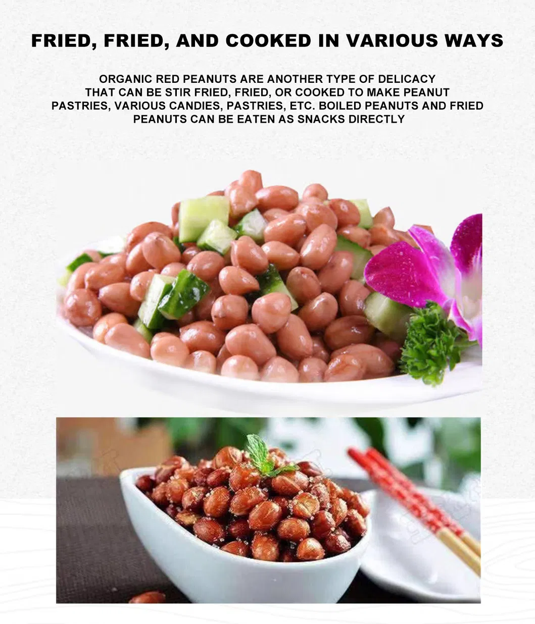 Blanched Peanut, Health Food, Baked Peanut, Wholesale Nuts and Kernels