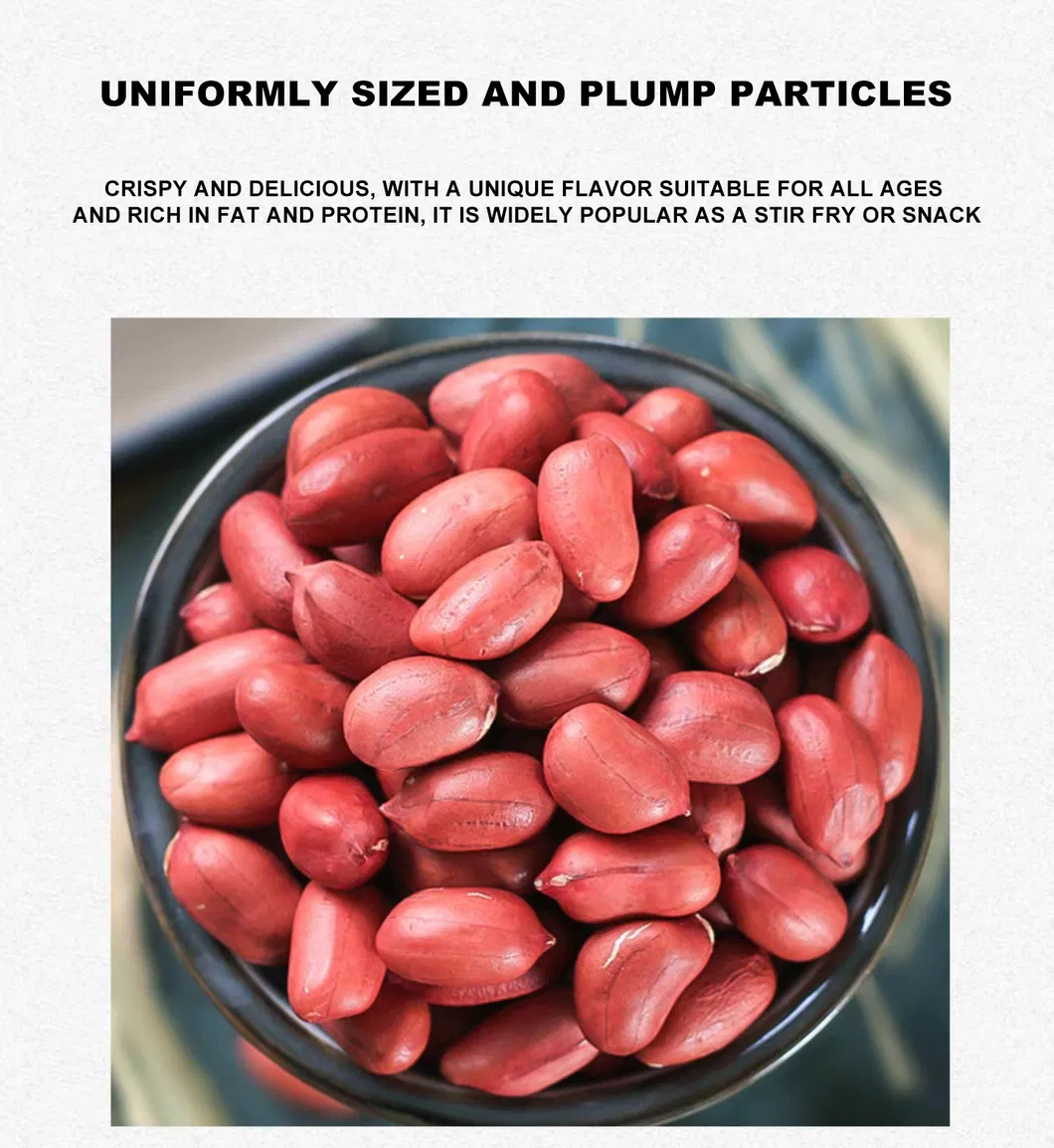 Blanched Peanut, Health Food, Baked Peanut, Wholesale Nuts and Kernels