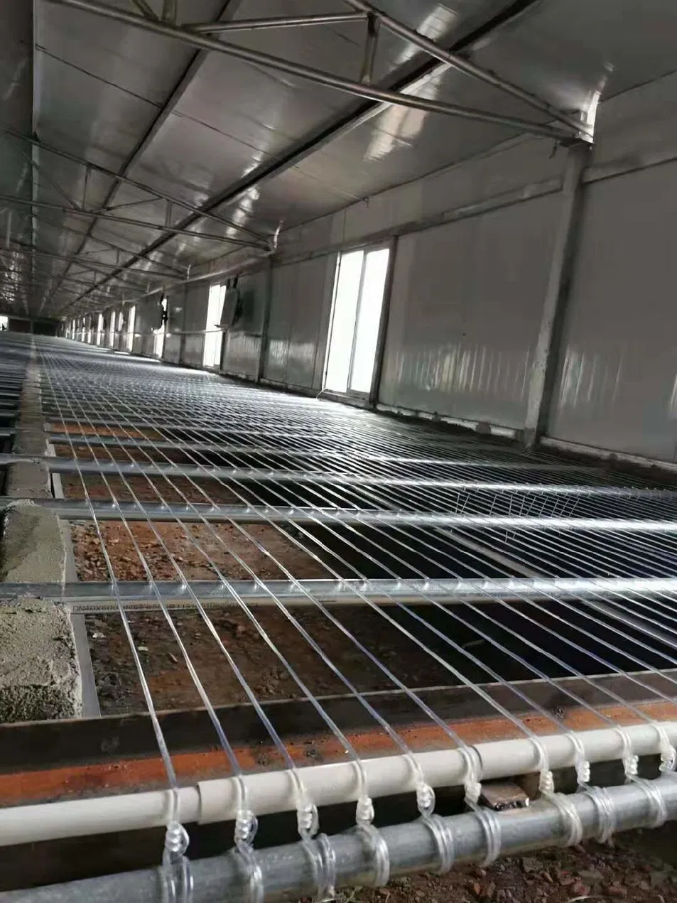 Agriculture Polyester Wire Vineyard Mesh