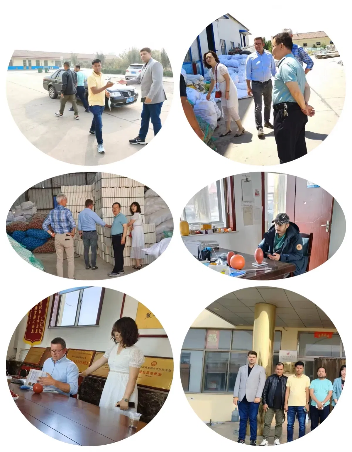 Agriculture Polyester Wire Vineyard Mesh