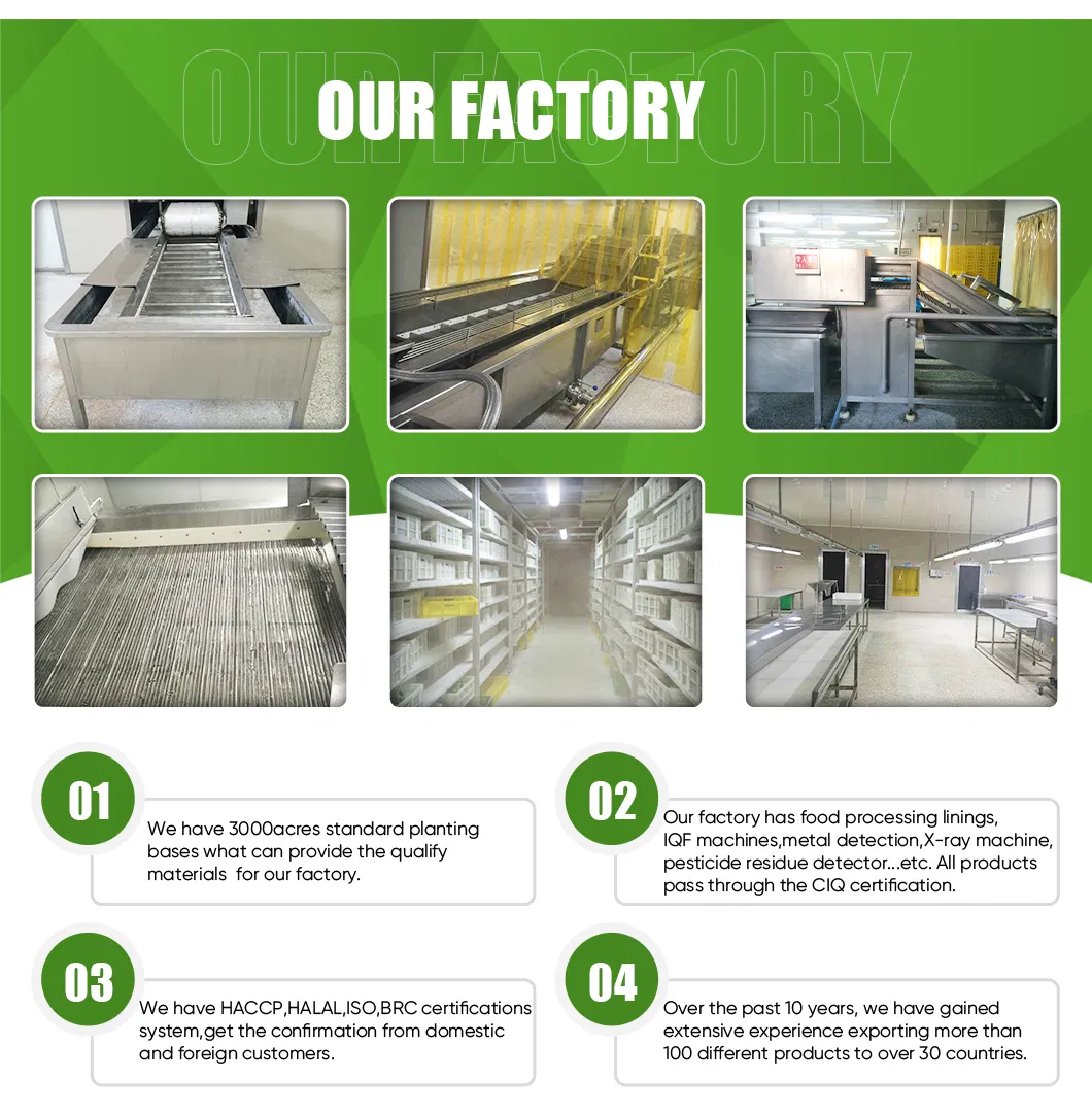 Wholesale Price IQF Green Soybeans Frozen Vegetables Soybeans Edamame in Shell Frozen Beans for Hotel for Super Marekt Qualify Supplier